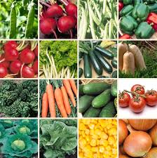 Manufacturers Exporters and Wholesale Suppliers of Vegetable Seeds Pune Maharashtra